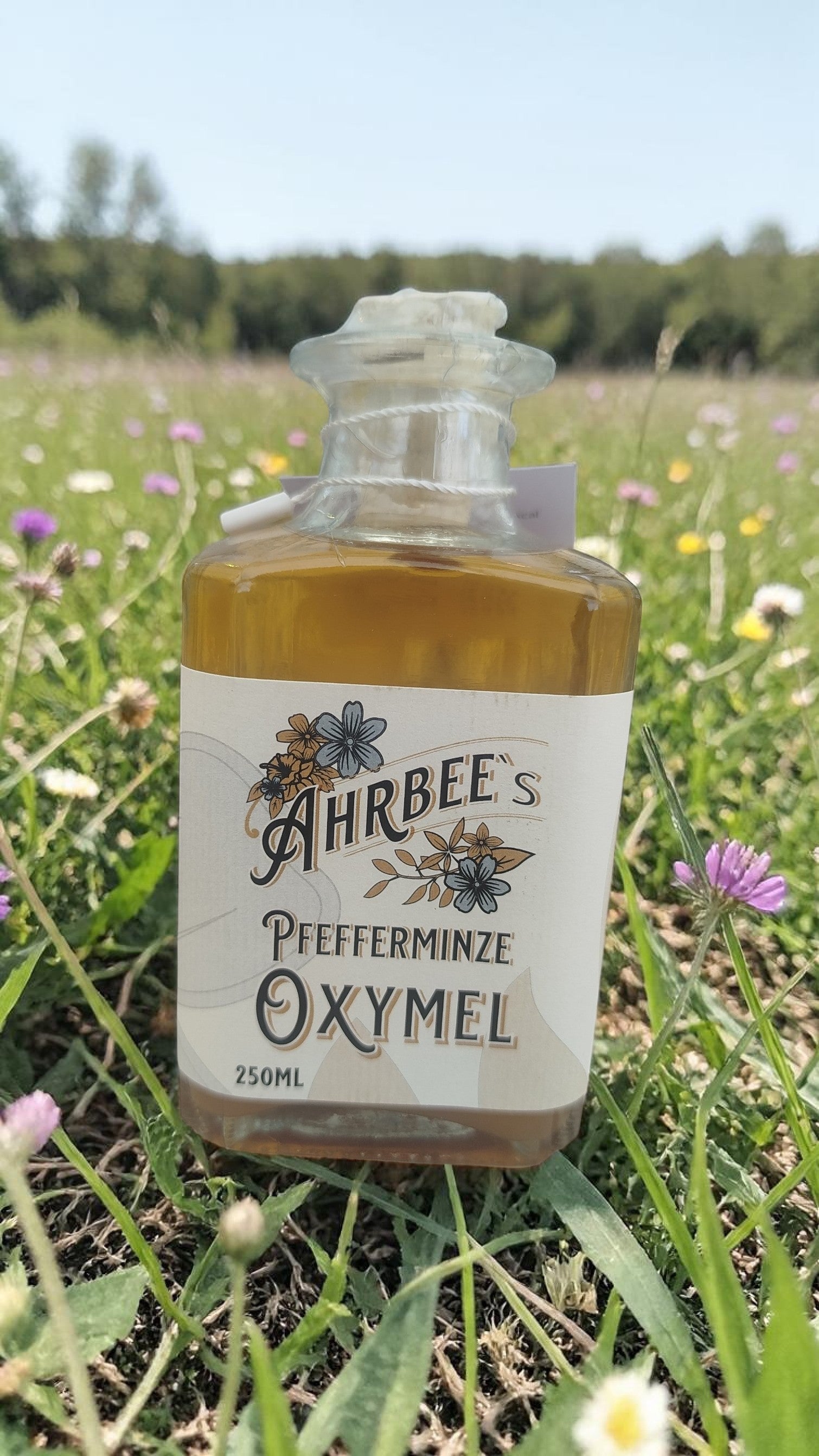 Oxymel Pfefferminze 250ml