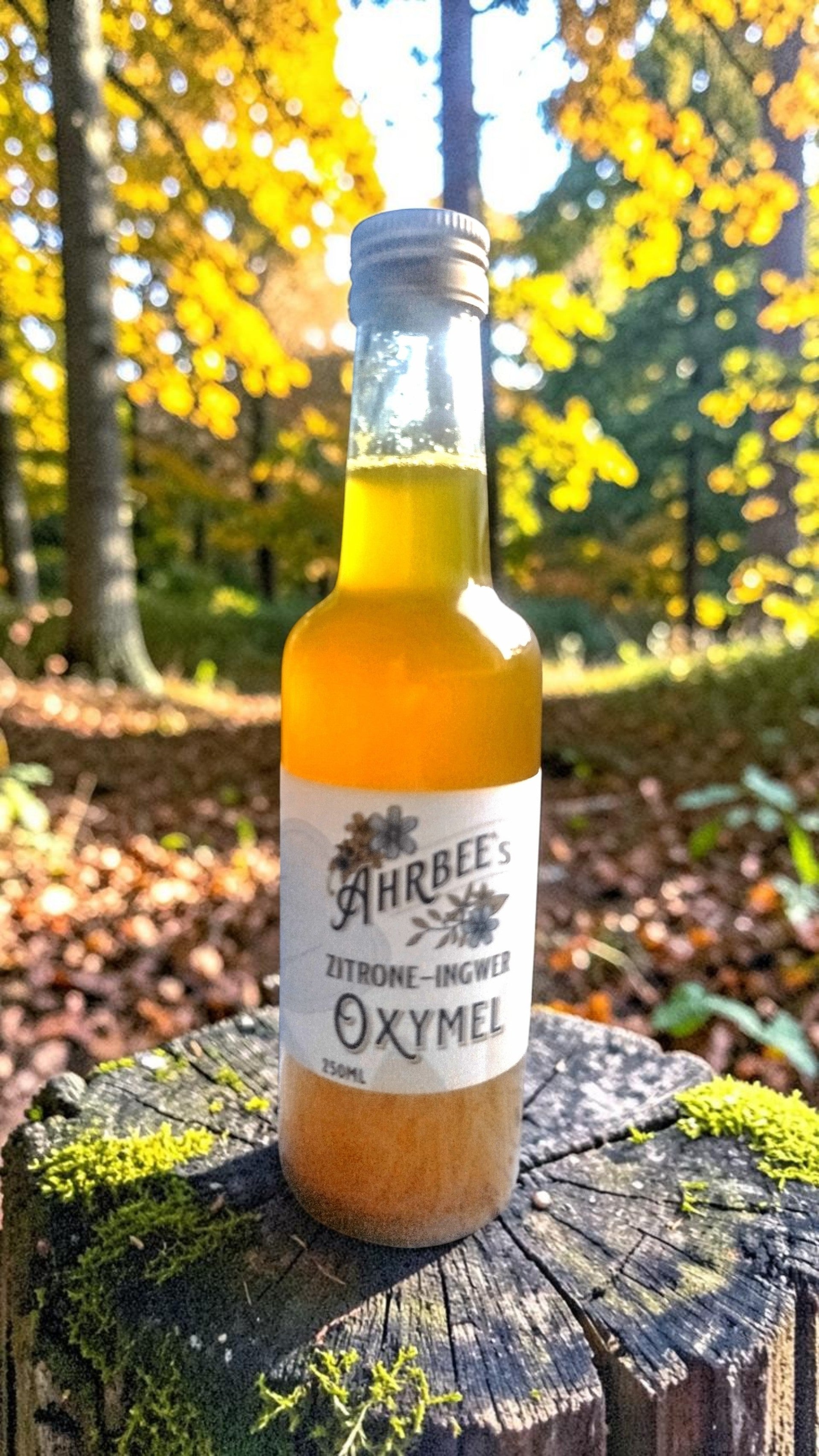 Oxymel Ingwer-Zitrone 250ml