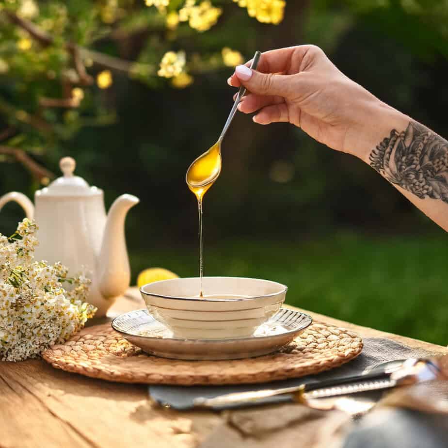 Ahrbee`s Frühtrachthonig 500 Gramm - Honigbox